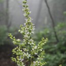 두드리하우스 이미지