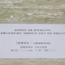 람페로마 이미지