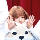 율 이미지
