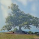 임천면행정복지센터 앞 주차장 | 부여 성흥산성 사랑나무,대조사, 임천관아터소나무