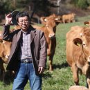 행복한목장 이미지