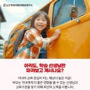 브레인박사태권도 네이버블로그