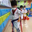 용인대 한신 태권도 이미지