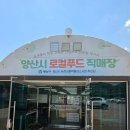 참맛농부 | [양산 가볼만한곳] 갓 수확한 극강의 싱싱함! '양산시 로컬푸드 직매장' (주차, 양산사랑카드 10% 할인...