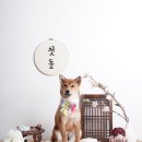 데이, 멍 이미지