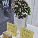 수원-1468 | [수원 금곡동 속눈썹] 트윈뷰티끄아이래쉬, 금곡동속눈썹, 수원속눈썹, 금곡동속눈썹펌, 서수원속눈썹펌...