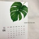 수채화 일러스트 이미지