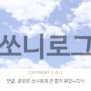 쏘니미용실