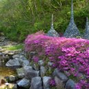 전국노래자랑노래연습장 이미지