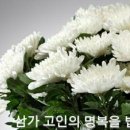 삼성 이건희회장님 사망 이미지