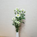 국화농장 이미지