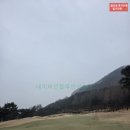 세컨더블비 이미지