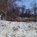 WR(인천광역시 서구)-[국제대로]-상-31 | 만만한 12월 (2)