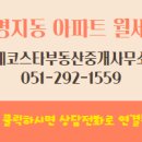 스타부동산중개 이미지