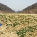 호영농장 이미지