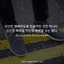 안양권투체육관 이미지