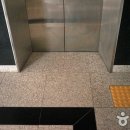 현대크루즈호 이미지