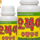 코시팜스 이미지