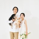 293사진관 이미지