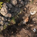 두리건축(주) 이미지