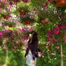 하나교통 | 고양꽃박람회 후기 포토존 팁 포인트 추천