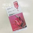 메디힐케어 | 수분 마스크팩 추천 1일1팩으로 모공까지 케어하는 메디힐 로제 PDRN 에센셜 마스크 후기