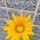 만평주민도서관 이미지