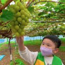 새인농장 이미지