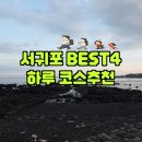 감동정비 올레 | 네거리올레 시장 맛집 포함 서귀포 BEST4 하루코스 추천