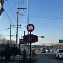 후드 로스터스 이미지