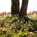 호숫가의 풍경 이미지