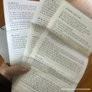 엘더팜 | [맛집] 2025 서울 미슐랭 스타 파인 다이닝 스와니예 룸 이용 후기
