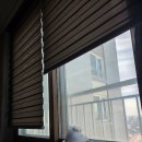 리츠펫 서산호수공원점 | [일상] 서산 애견카페 애견동반 애견유치원 호수공원 리츠펫🐶