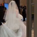 오늘도 | W4.결혼식 끝남ㅋㅋ(오무아무아스냅, 오늘도활짝 본식 후기)