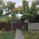 무이림5 이미지