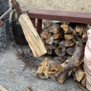 솔숲민박 이미지