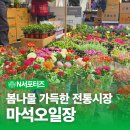 마석1공영주차장 옆[마석-5] | 봄나물 가득한 전통시장, '남양주 마석오일장' 공공와이파이까지 편리한 봄나들이 명소