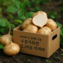 얌 - 동대문구 약령시로21길 3 | 얌