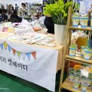 올캣
