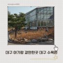 화암로 | 대구 아기랑 갈만한 곳 대구 수목원 5개월 아기 방문 후기(+유모차 이용)