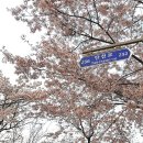 [내돈내산] 명랑핫도그 분당이매점 후기 (with.서진이네)