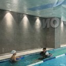 아쿠아몽 이미지