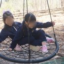 금빛유치원 이미지