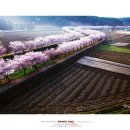 금수목장 이미지