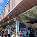 샘터목장 | 3월 선자령 등산후기 / 대관령 휴게소 - 목장코스 / 백팩킹성지 / 겨울산행 / 부산에서 가는 법