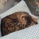 하늘중앙로약국 | 3월