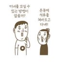 이러케 이미지