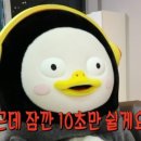 맥스체대입시수원교육원