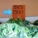 청춘청과 이미지