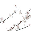 남사-2 이미지